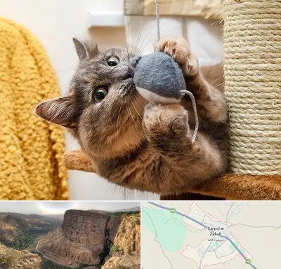 خرید اسباب بازی گربه در سرپل ذهاب