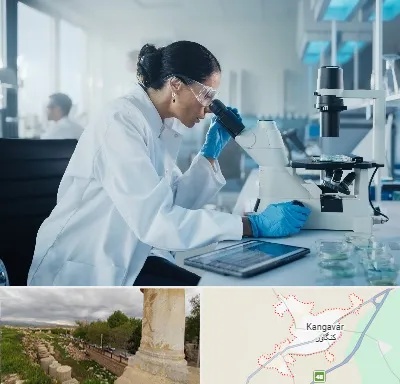 آزمایشگاه HPV در کنگاور