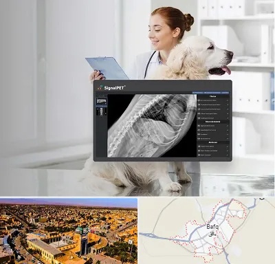 رادیولوژی حیوانات در بافق