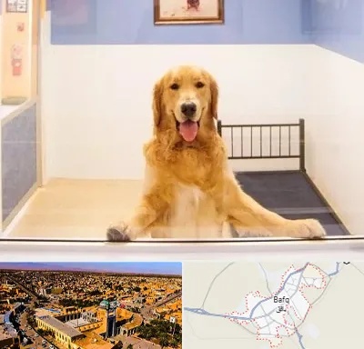 پانسیون حیوان خانگی در بافق