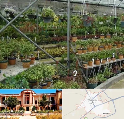 بازار گل و گیاه در خمین