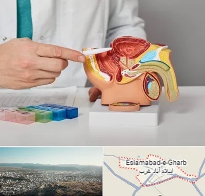 دکتر اورولوژی در اسلام آباد غرب