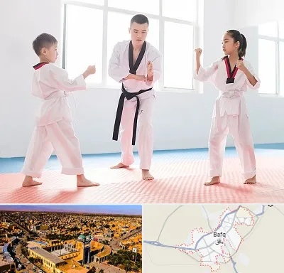 مربی رزمی در بافق