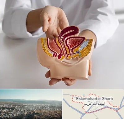 دکتر دستگاه تناسلی مردان در اسلام آباد غرب