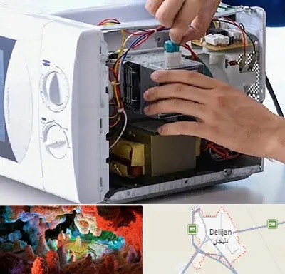 قطعات مایکروفر در دلیجان