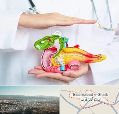 دکتر سرطان لوزالمعده در اسلام آباد غرب