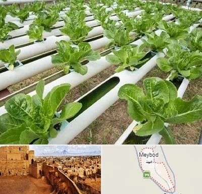 فروش تجهیزات هیدروپونیک در میبد