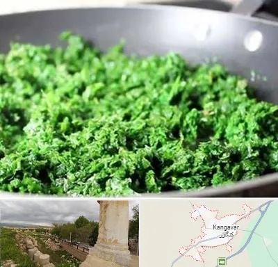 دستگاه سبزی خرد کن صنعتی در کنگاور