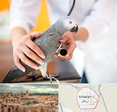 دامپزشکی پرندگان در اردکان