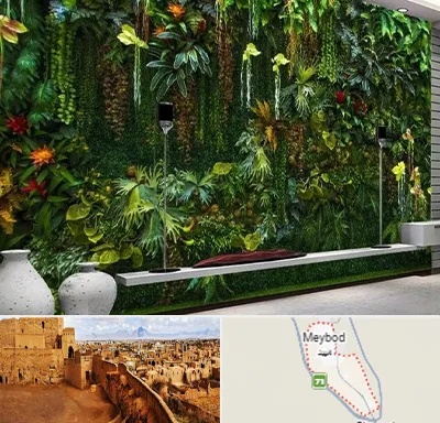 دیوار سبز مصنوعی در میبد