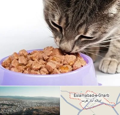 فروشگاه غذای گربه در اسلام آباد غرب