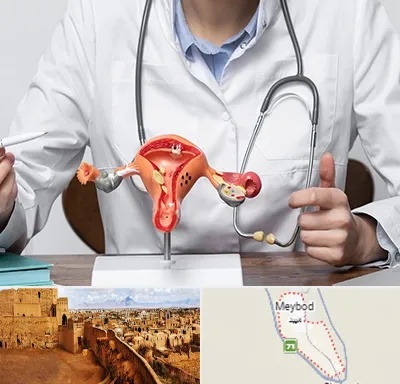 جراح سرطان رحم در میبد