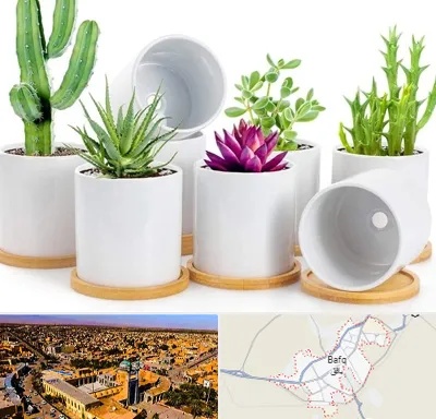 فروش گلدان سرامیکی در بافق