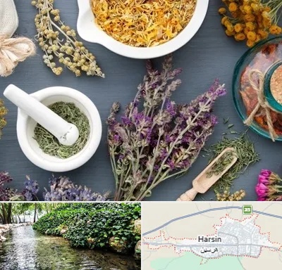 سم زدایی در هرسین