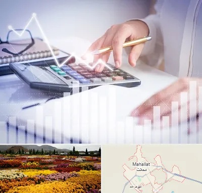 کارشناس مالیاتی در محلات