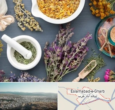 سم زدایی در اسلام آباد غرب