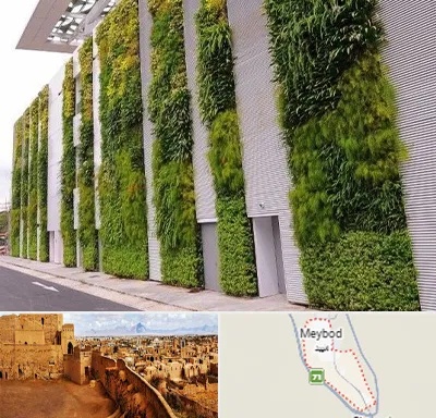دیوار سبز در میبد