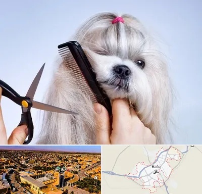 آرایشگاه حیوانات خانگی در بافق