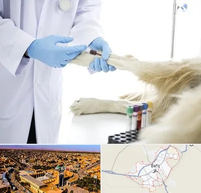 آزمایشگاه حیوانات در بافق