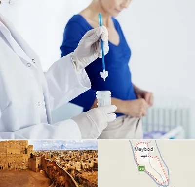 آزمایشگاه پاپ اسمیر در میبد