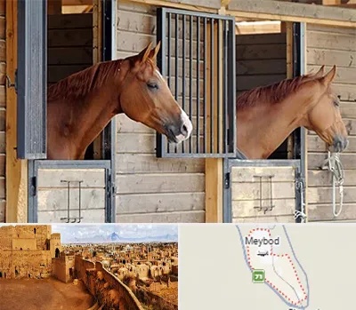 پانسیون اسب در میبد