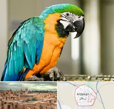 داروخانه شبانه روزی پرندگان در اردکان