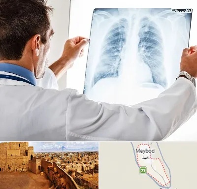 دکتر متخصص ریه در میبد