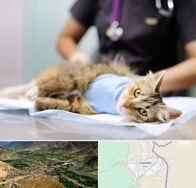جراح حیوانات در اسدآباد
