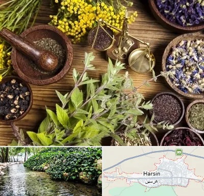 دکتر طب سنتی خانم در هرسین