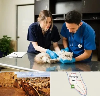 دامپزشکی سیار در میبد