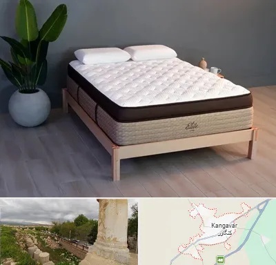 تشک طبی در کنگاور