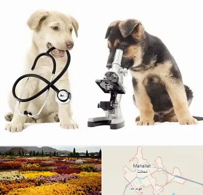 آزمایشگاه دامپزشکی در محلات
