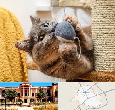خرید اسباب بازی گربه در خمین