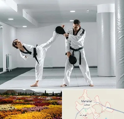 باشگاه رزمی در محلات