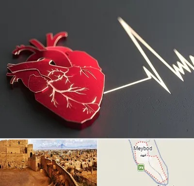 متخصص الکتروفیزیولوژی در میبد