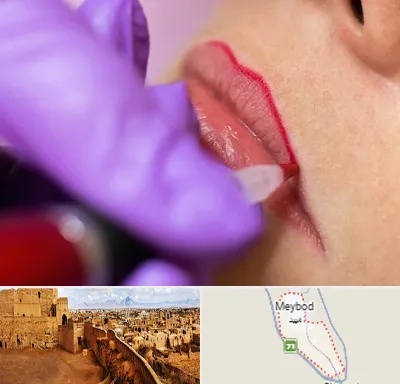 تاتو لب در میبد