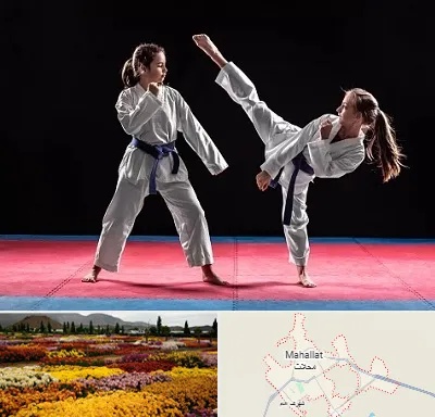 باشگاه تکواندو در محلات