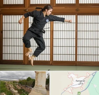 باشگاه نینجا در کنگاور