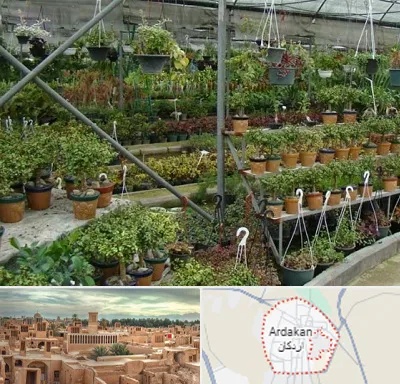 بازار گل و گیاه در اردکان