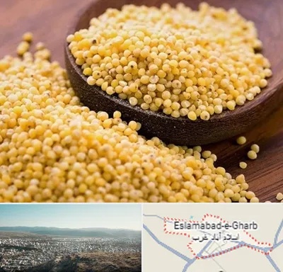 فروش ارزن در اسلام آباد غرب