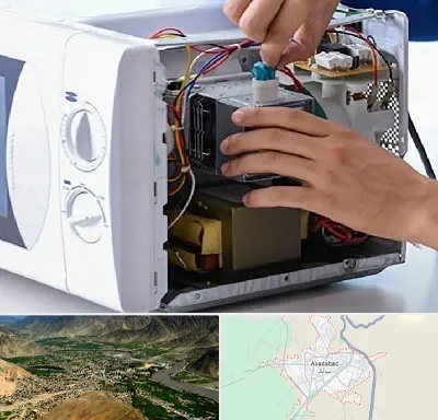قطعات مایکروفر در اسدآباد