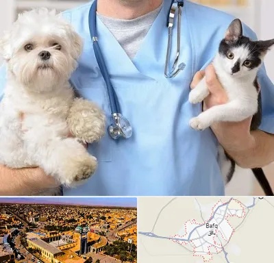 بیمارستان شبانه روزی دامپزشکی در بافق