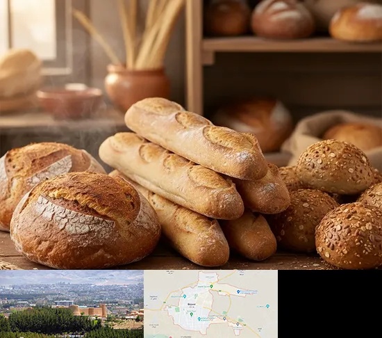 نان فانتزی در بیرجند
