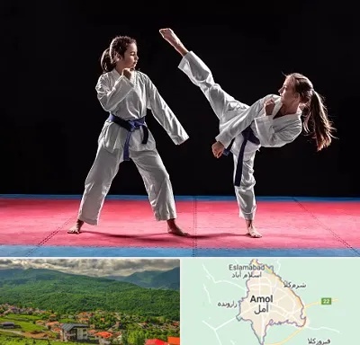 باشگاه تکواندو در آمل