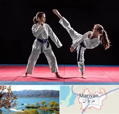 باشگاه تکواندو در مریوان