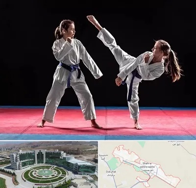 باشگاه تکواندو در صدرا