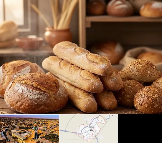 نان فانتزی در بافق