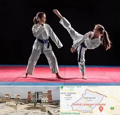 باشگاه تکواندو در حکیمیه 