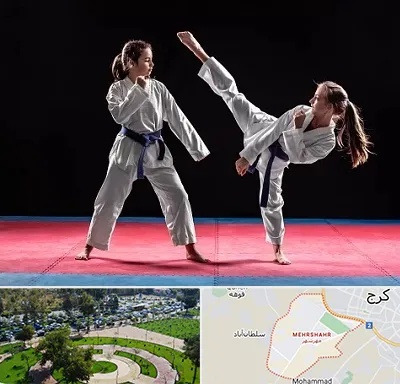 باشگاه تکواندو در مهرشهر کرج 
