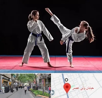 باشگاه تکواندو در ولیعصر شهریار